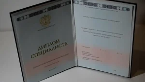 Купить диплом Педагогического Колледжа № 10 в Нижнем Новгороде